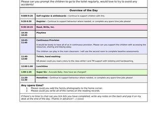 EYFS (Reception) Daily plan for TA