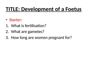 Development of a foetus