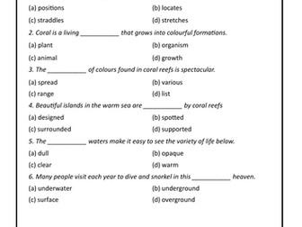 Mixed VOCABULARY Exercises