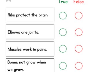 skeleton and muscles worksheet -year 4 Cambridge curriculum