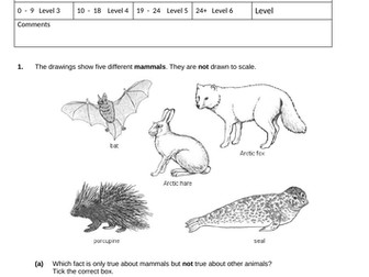 Biology-7c Environmental and feeding relationships