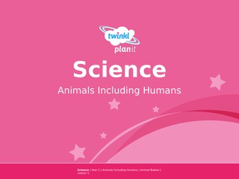 Science- Animals including humans