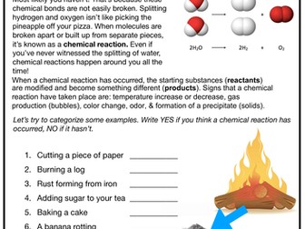 Chemical Reaction Comprehension Reading activity