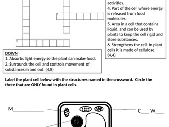 Animal and Plant Cells Worksheet
