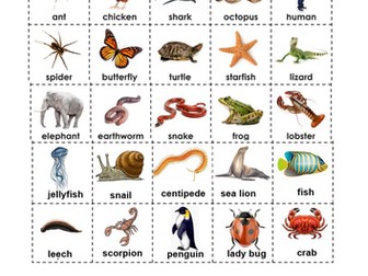 Vertebrate or invertebrate?