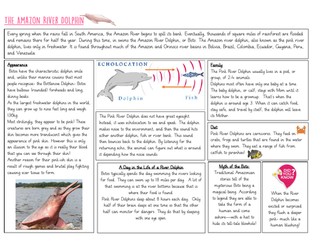 Non-fiction Amazon Dolphin Comp