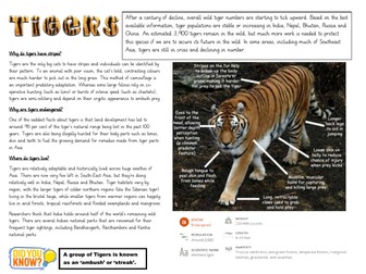 Non-fiction comprehension - Tigers