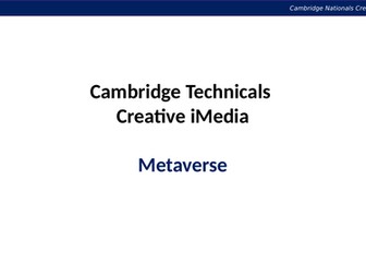 What is a Metaverse?