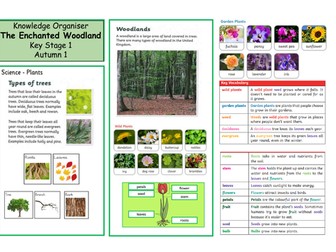 KS1 Enchanted Woodland Knowledge Organiser