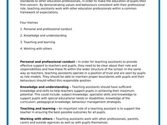A professional standard for a Teaching Assistant