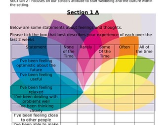 Staff Well-being Survey