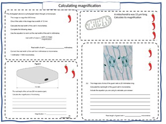 Magnification Microscope Differentiated Questions