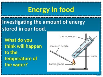 KS3; Energy in Food