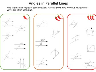 Angles in Parallel Lines WS