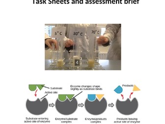 BTEC Applied Science: Unit 3 Pupil task sheets for section D Enzymes