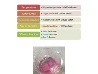 BTEC Applied Science: Unit 3 pupil task sheets for section F - Diffusion