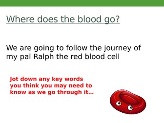 Blood's Journey Ralph The Red Blood Cell