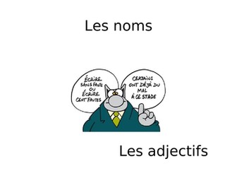 Nouns, adjectival agreements and articles
