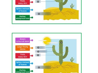 Evolution and Inheritance - plant adaptation Year 6