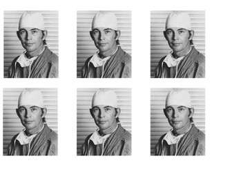 Animals including humans - Christiaan Barnard Year 6