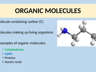 Carbohydrates (AS Edexcel)