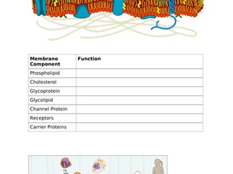 A-Level Biology - Cell Membranes & Cell Structure