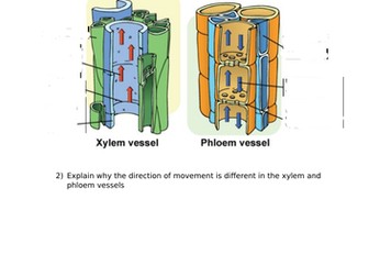 A-Level Biology - Plant Transport