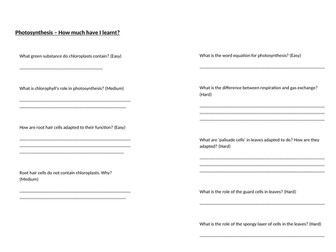 Photosynthesis worksheet