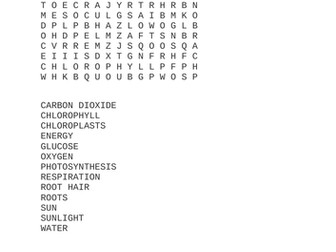 Photosynthesis wordsearch