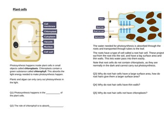 Plant cells information sheet