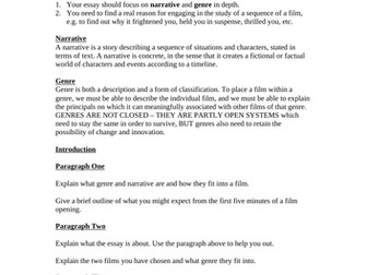 Esssay Plan for narrative and genre