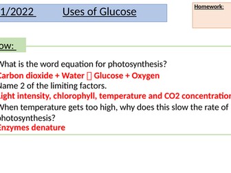 GCSE Uses of Glucose
