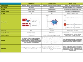 A Level PE - Energy Systems Revision