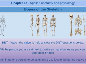 Bones of the skeleton - GCSE Physical Education - AQA