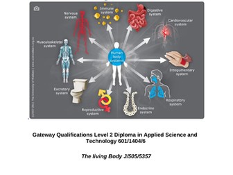 Body Systems Booklet