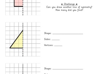 Year 2 Drawing Shapes With Lines of Symmetry