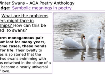 Winter Swans poem and winter writing task SEN