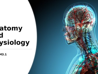 skeletal system (A+P) T-level health/biology