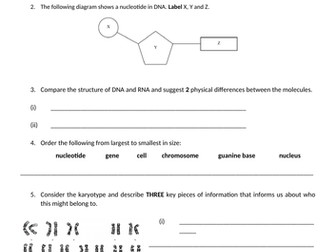 Structure of DNA check-in sheet 1 Victorian curriculum Year 10 AUSTRALIA