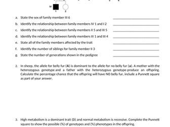 Genetics check-in sheet 2 Victorian curriculum Year 10 AUSTRALIA