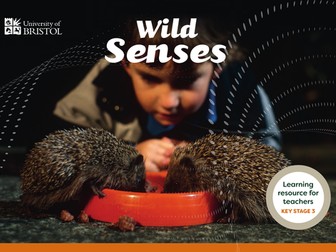 Wild Senses! Key Stage 3 science resource