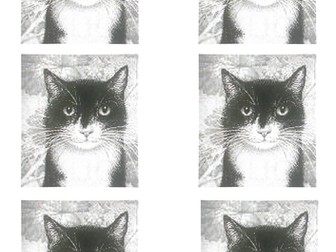 Guided reading plan and resources - The Mousehole Cat