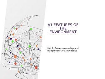 Unit 8 Intrapreneurship Bundle