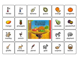 Handa's Surprise Key Vocabulary Wordmat with Widgit Symbols (SEND)