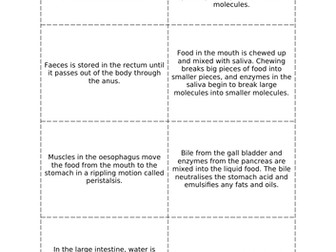 Digestive Process Cut-and-Stick