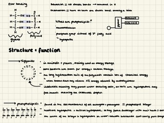 OCR A Biological molecules revision notes