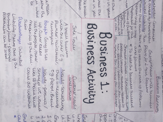 GCSE OCR Business (9-1): Unit 1 - Business Activity Revision Mindmap (Resource)