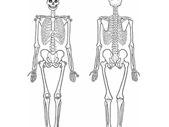 AQA GCSE PE Resources - Skeleton Structure & Function, Joint Types & Movement Types