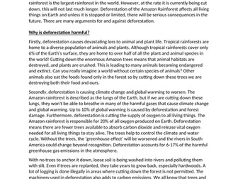 Balanced Argument Debate - Deforestation WAGOLL