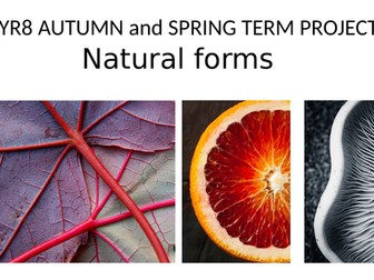 KS3 Natural forms project